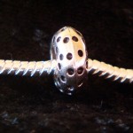 /314-635-thickbox/perle-charmies-pois-en-metal-antique.jpg